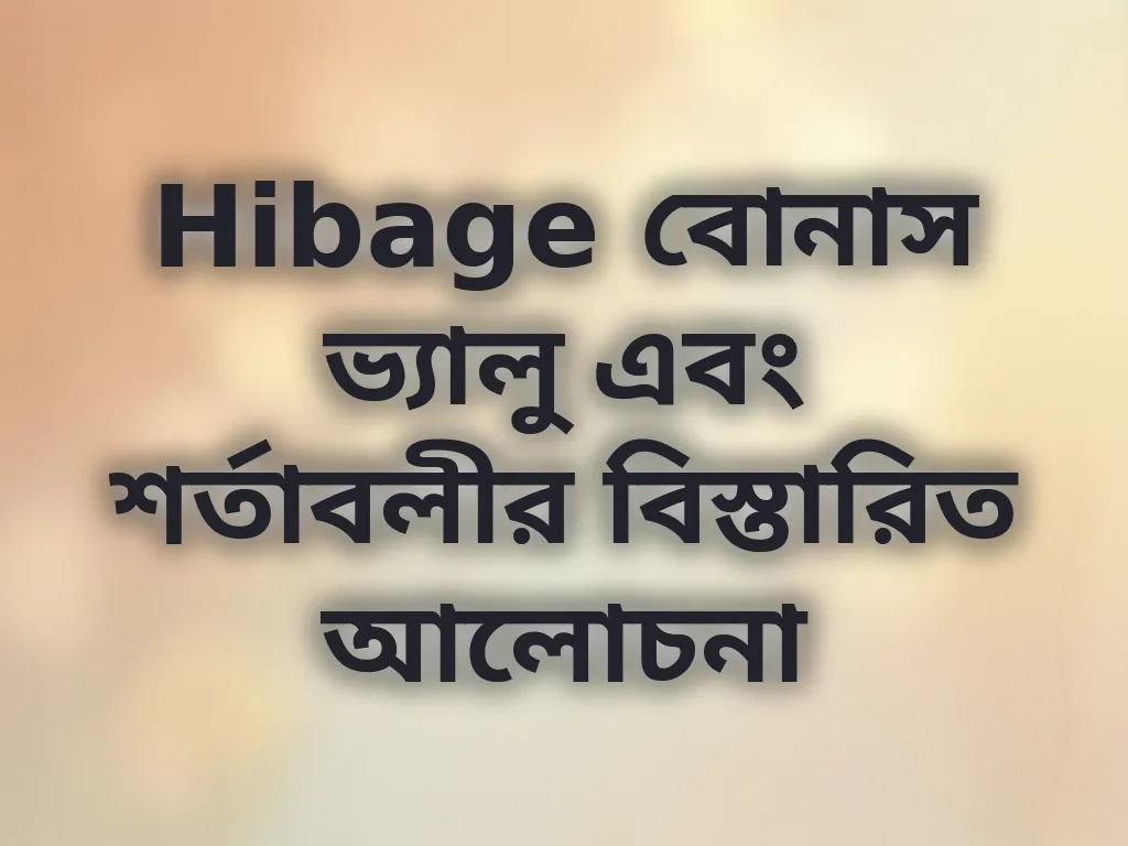 Hibage বোনাস ভ্যালু গাইড